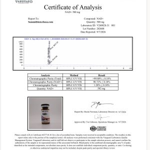 Alternative view of NAD+ 500mg
